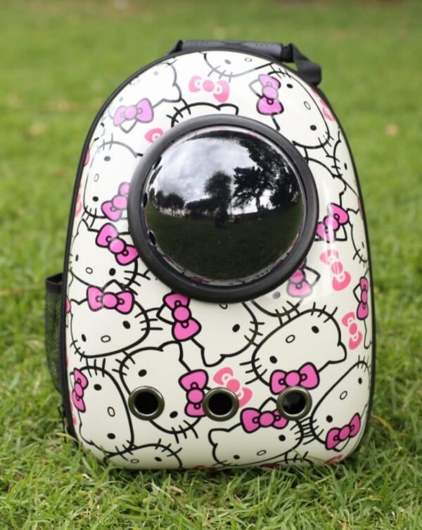 morral para gato